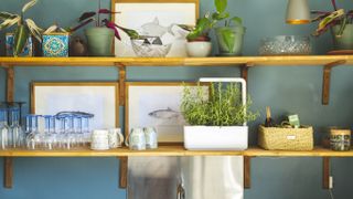 Smart garden products every homeowner needs – Click & Grow Smart Garden 3