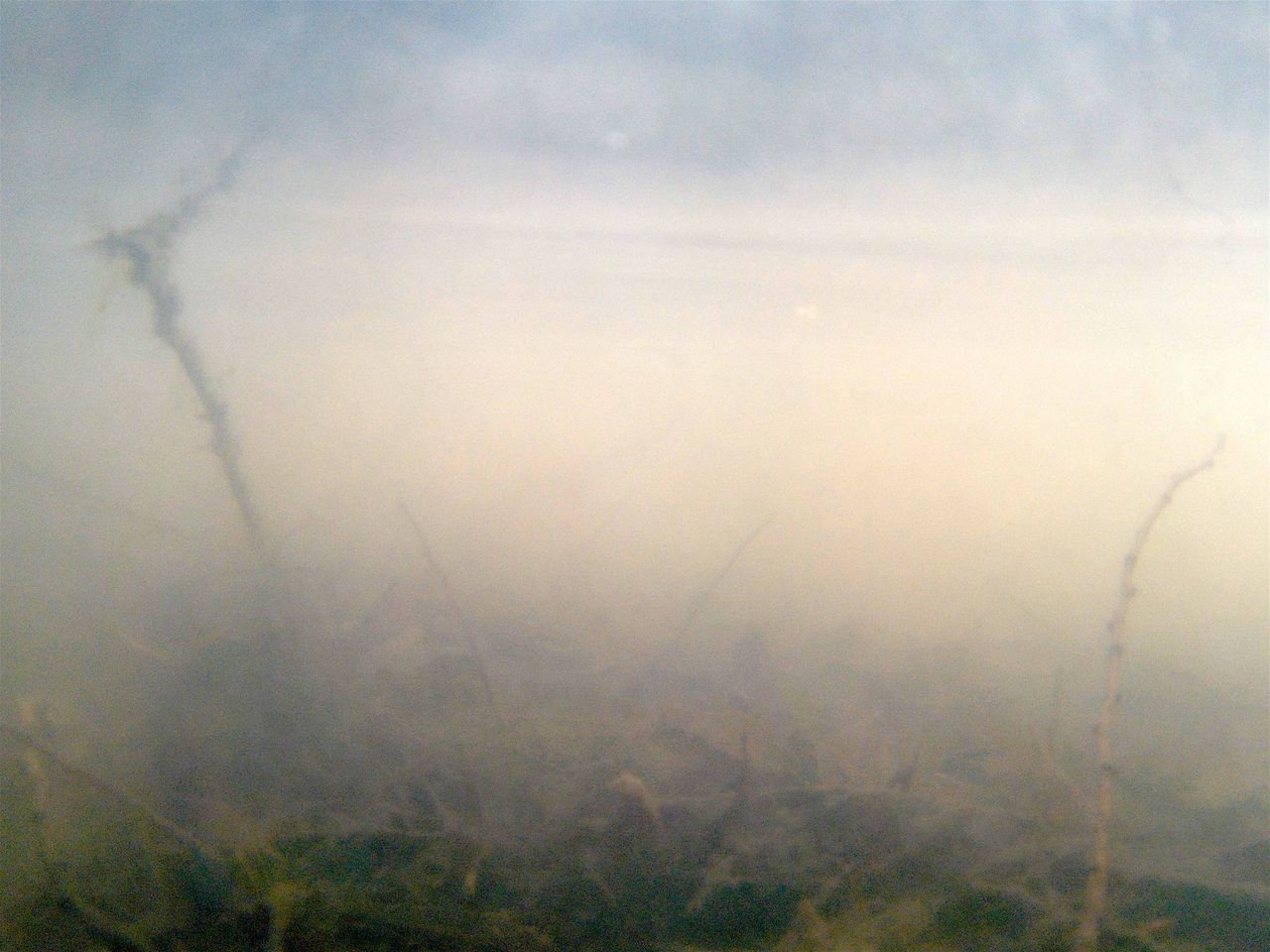 Murky underwater photo taken with the SeaLife ReefMaster RM-4K