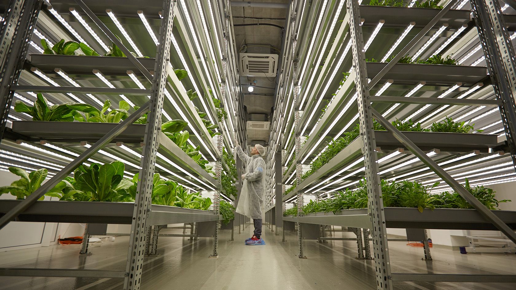 How vertical farming tech could bring fresh greens to the world's food