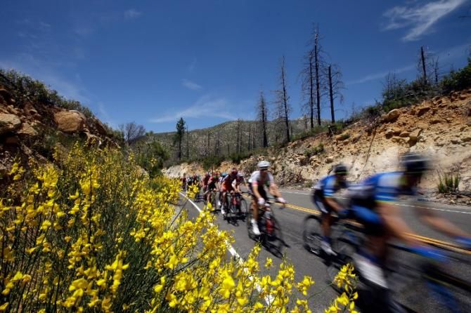 The peloton speed by at the Tour of California 2014