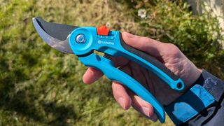 The Gardena pruner being tested in our reviewer's yard