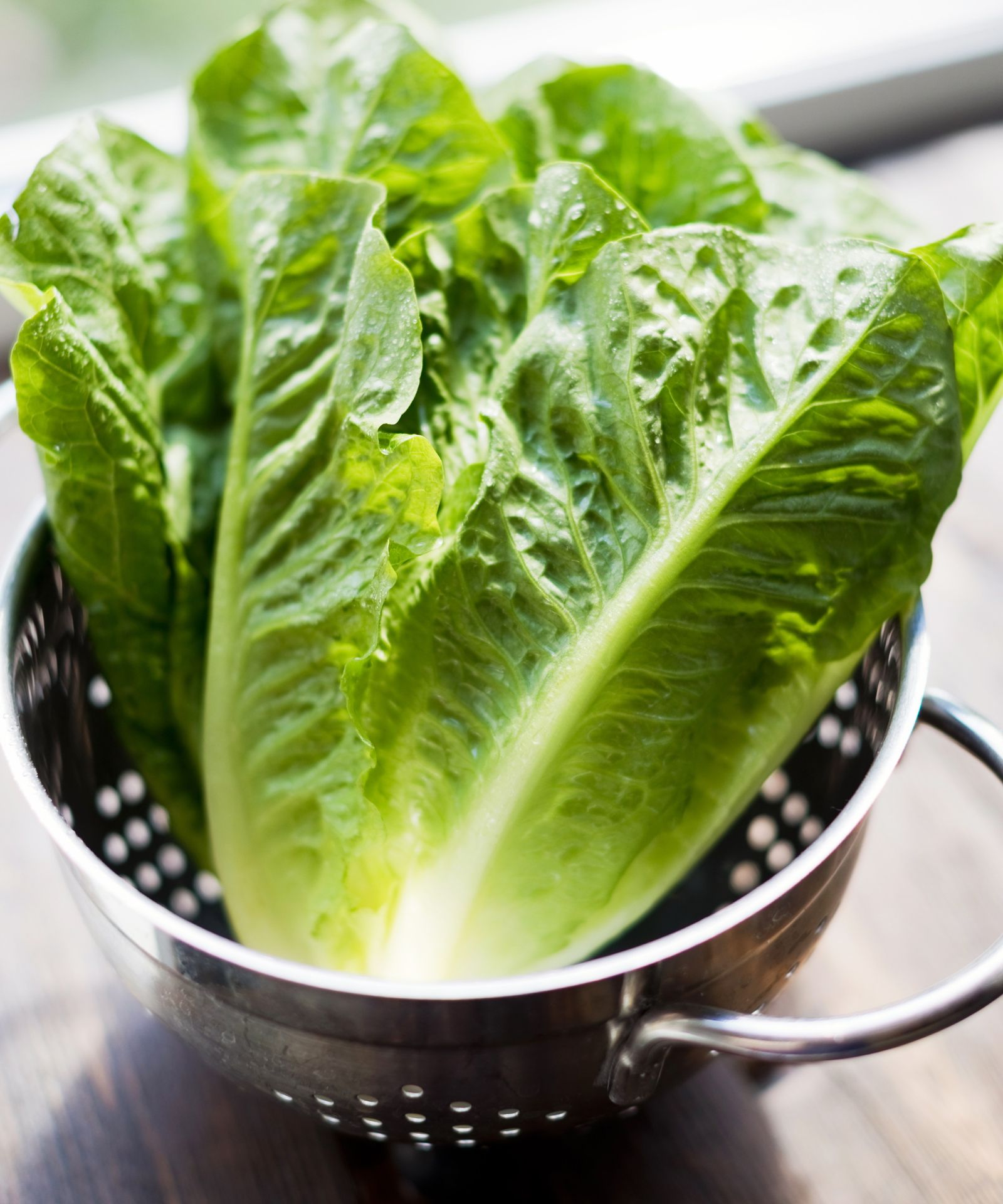 How to harvest romaine lettuce so it keeps growing | Homes and Gardens