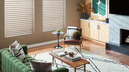 Colorful living room with green velvet sofa, wooden coffee table, black and white rug, brown armchair, two closed blinds, and wooden floors. A TV and fireplace is pictured to the right.