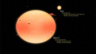 The massive star KSw 71 is much larger, and more pumpkin-like, than the sun (shown to scale); the orange beast produces X-ray blasts more than 4,000 times more intense than the sun's peak emissions, and also has exaggerated sunspots, flares and prominences. The added activity comes from the star's rapid spin, which is four times as fast as the sun's.