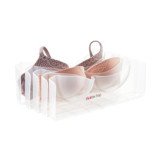 Clear plastic bra organizer