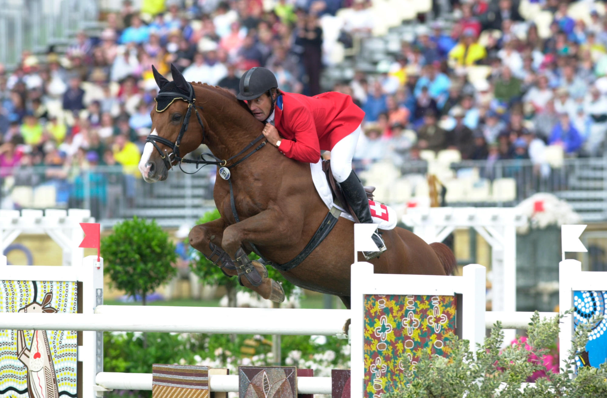 Tinka&amp;rsquo;s Boy has died aged 33
