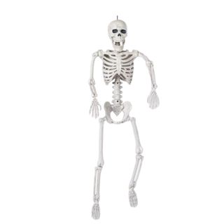 A Halloween plastic skeleton decoration