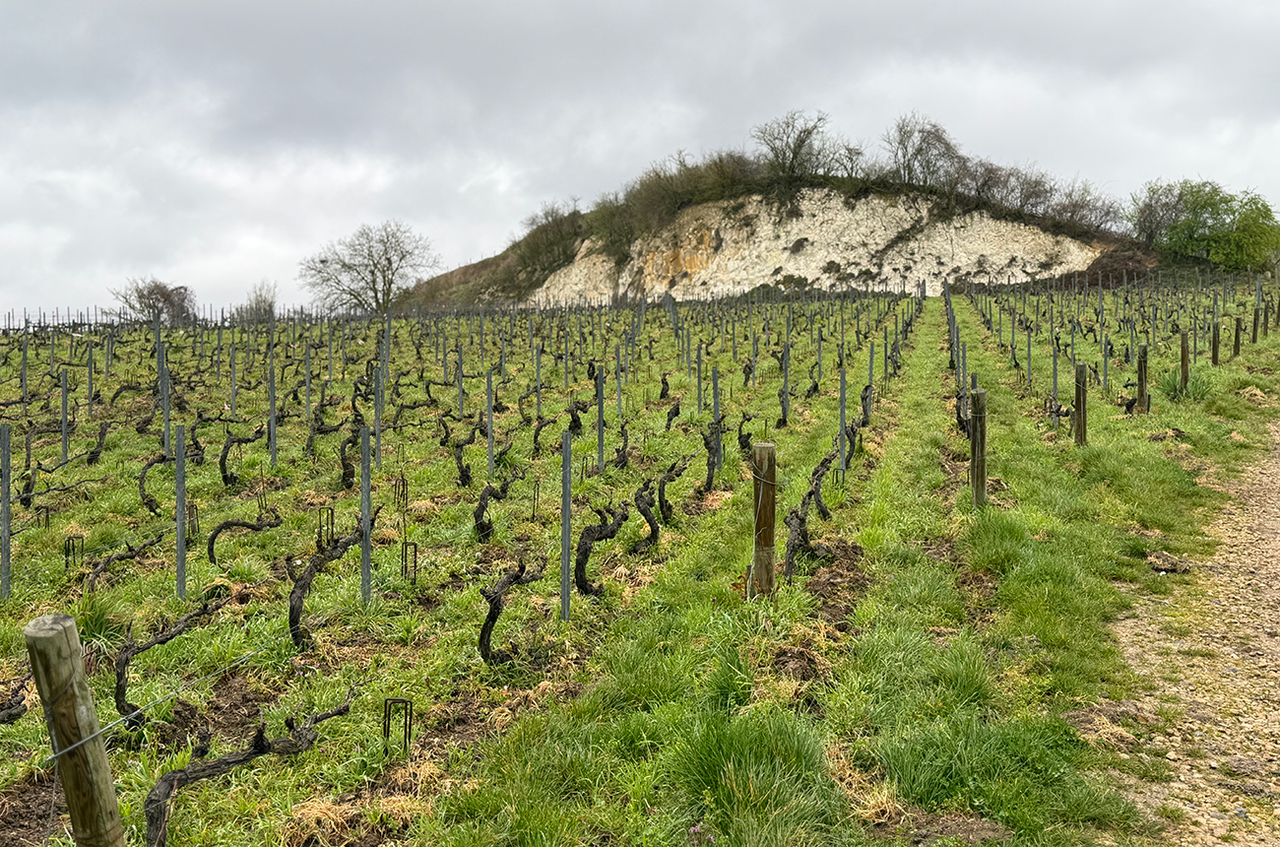 Bollinger