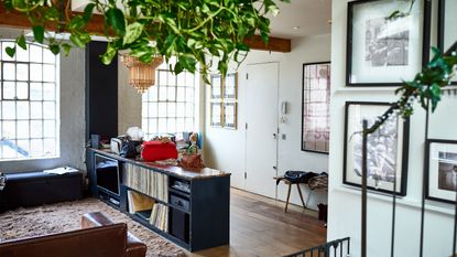 Tidy and organized Bohemian living room interior, with record collection and foliage