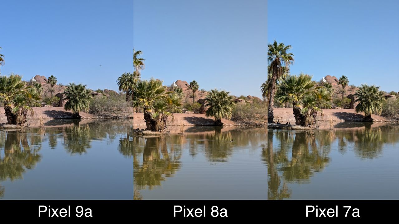 Camera samples comparing the Google Pixel 9a to the Pixel 8a and Pixel 7a.