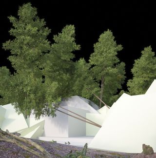 trees over tents