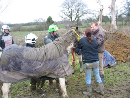 Everyone is relieved that Merlin is back on his feet after his ordeal