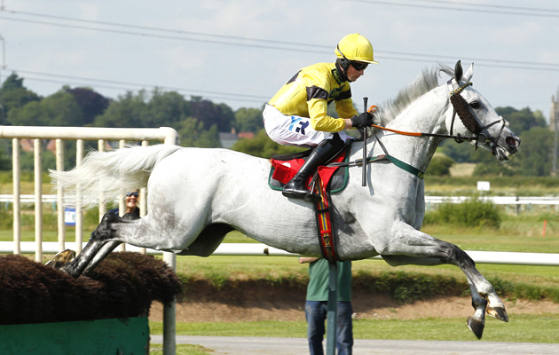 Brian Toomey on his first ride back from injury Kings Grey at So