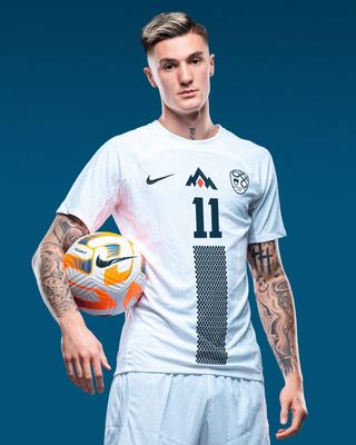 Nike Slovenia Euro 2024 home shirt