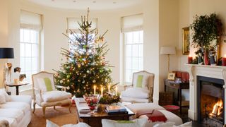 picture of real christmas tree in bay window of living room