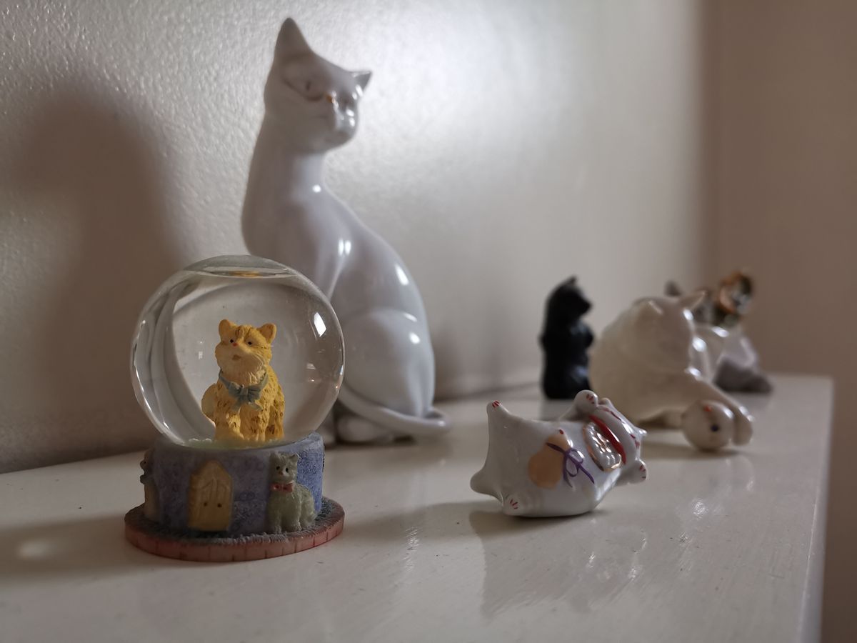 Even in challenging lighting, the aperture mode is able to defocus the background nicely.
