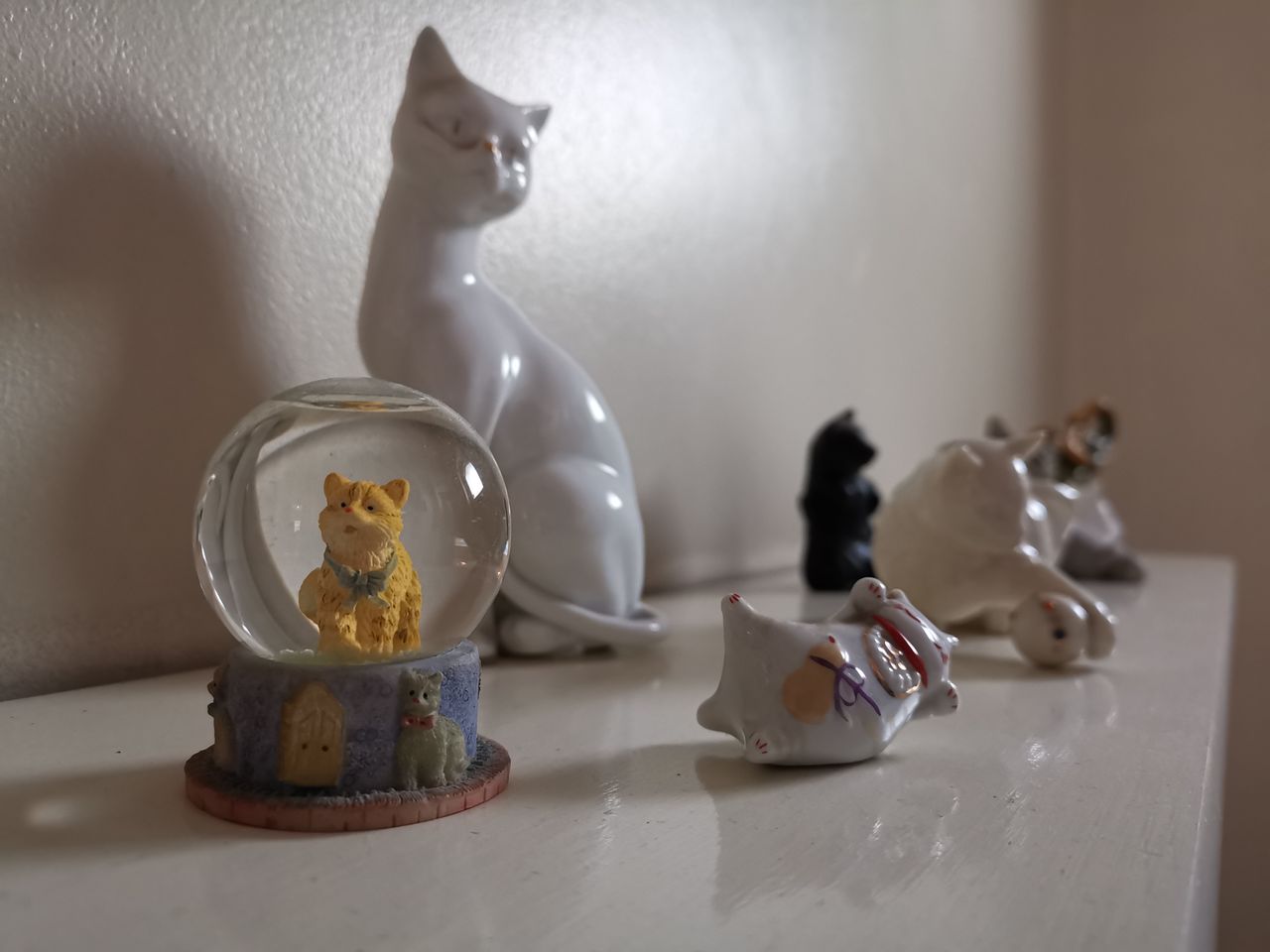 Even in challenging lighting, the aperture mode is able to defocus the background nicely.
