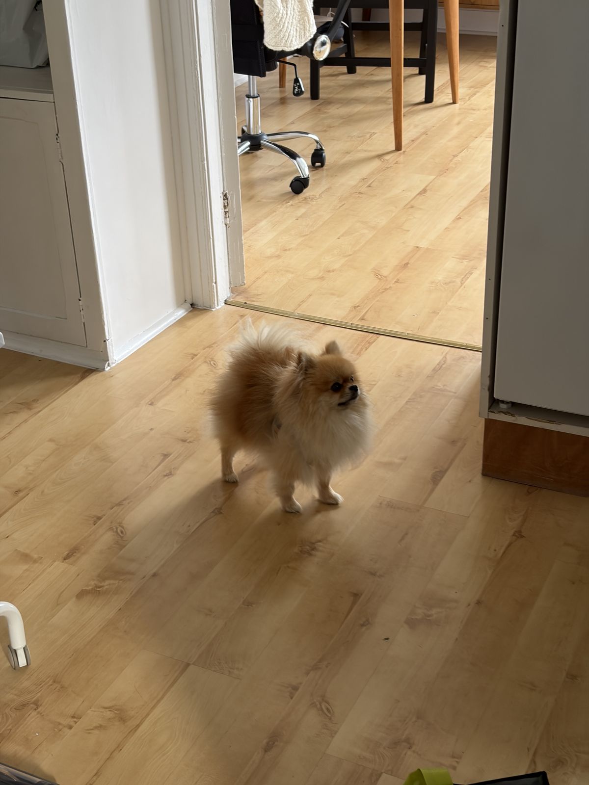 Assorted images for a comparison between Clean Up in iOS 26 and iOS 27