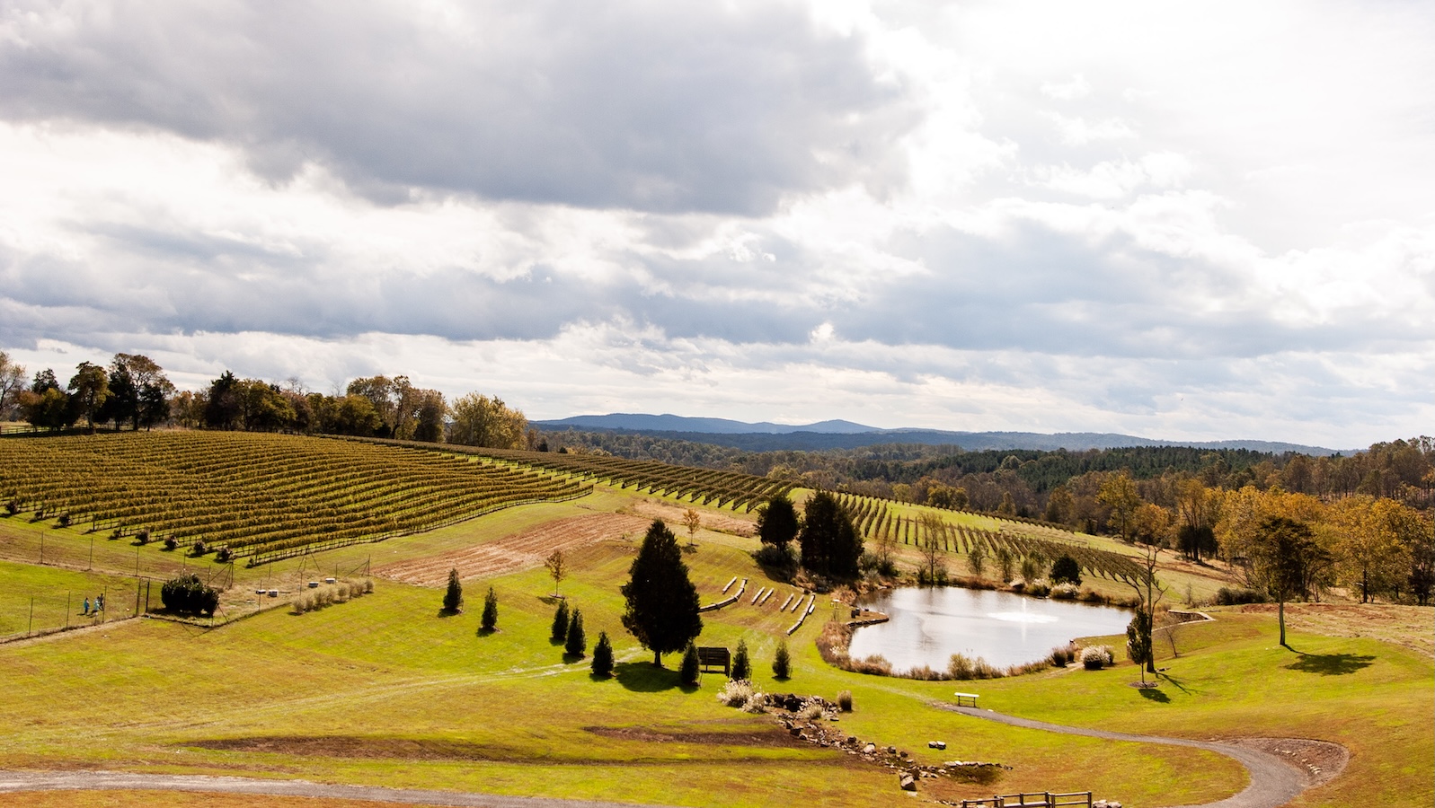 A view on an overcast day from Stone Tower Winery over the vineyards and pond to the forest and mountains beyond.