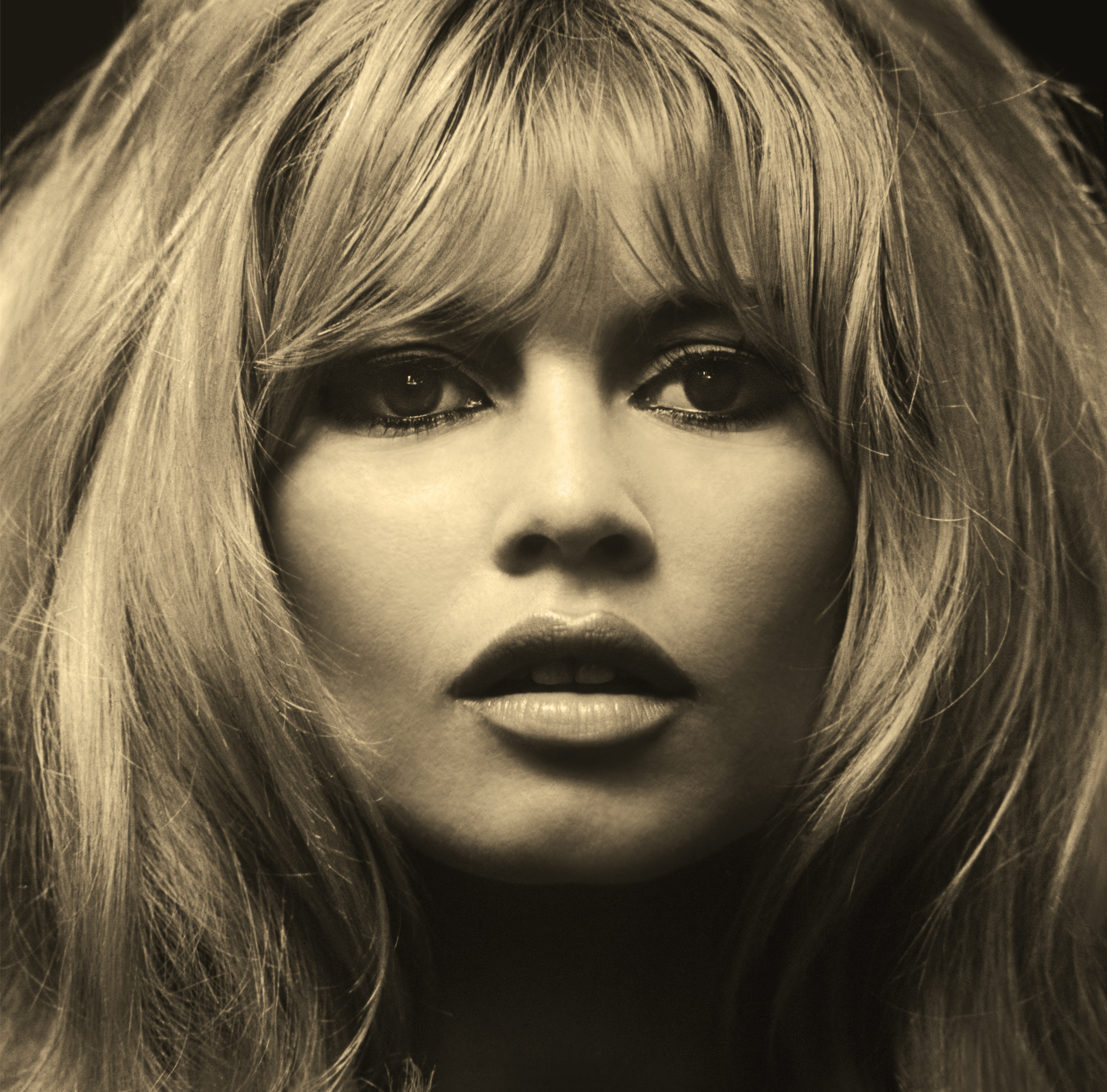 Gold toned Brigitte Bardot headshot by photographer Douglas Kirkland