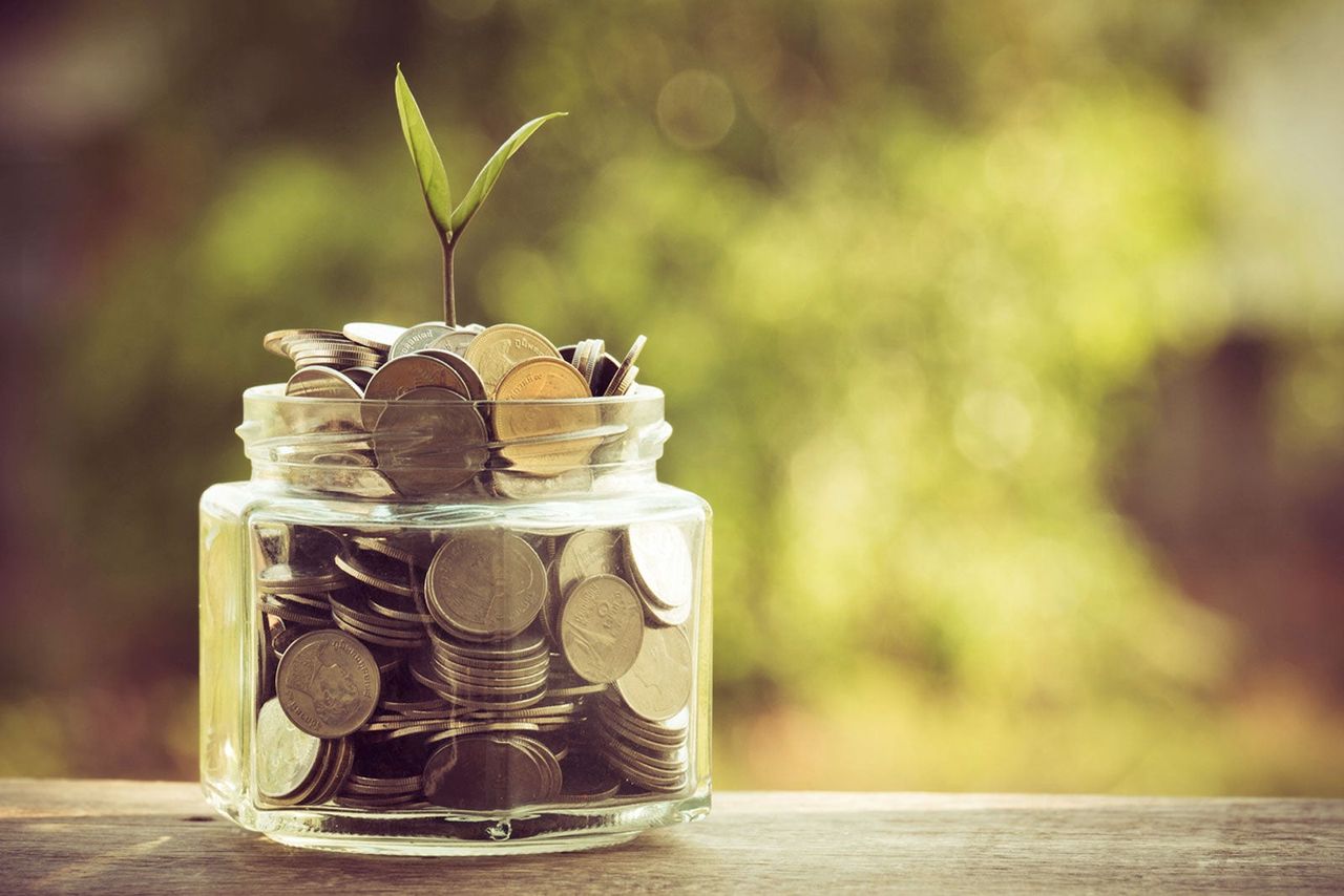 Glass Jar Full Of Coins And A Single Seedling