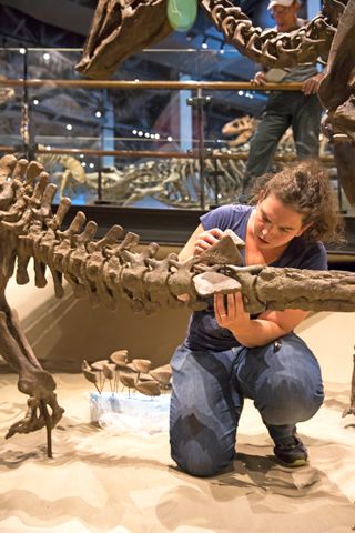 Exhibits preparator Emily Szalay puts a few final touches on the reassembled skeleton of Akainacephalus johnsoni.