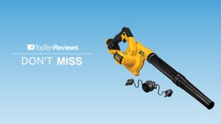 dewalt deal on leaf blower