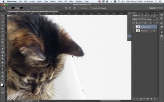 Screenshot of the Pen tool in Photoshop in action