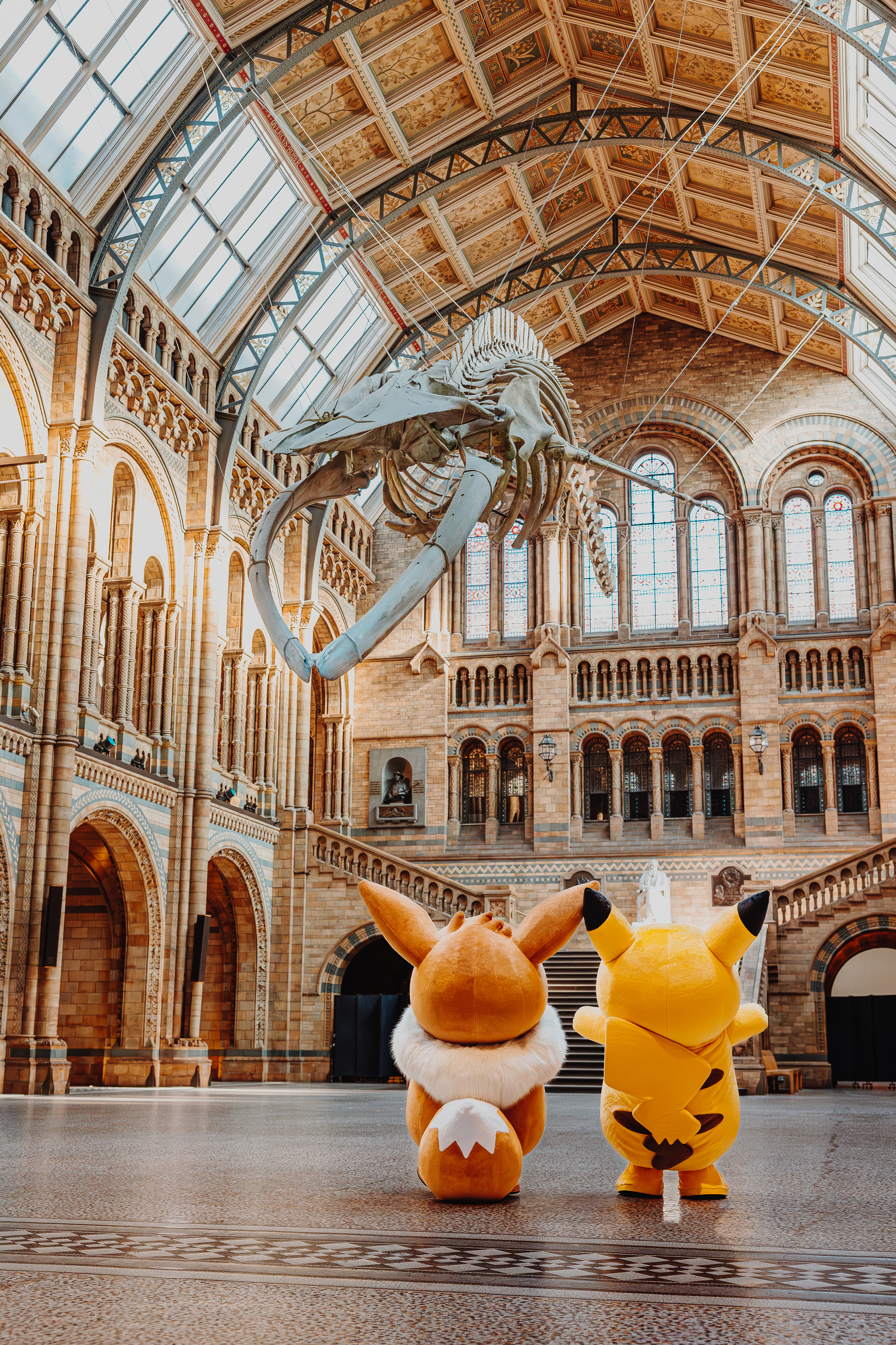 an image of the two plushies looking up at the giant suspended whale skeleton in the museum