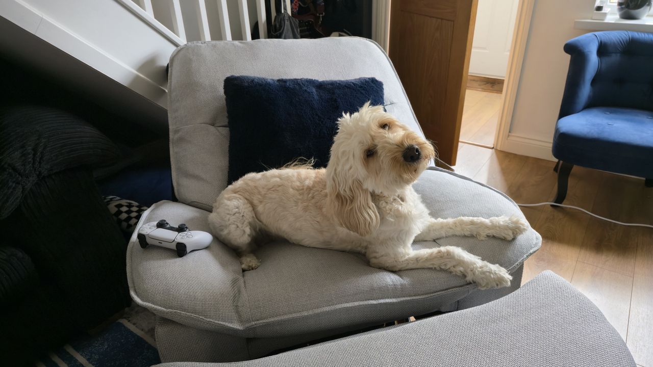 FlexiSpot Swivel and Rocker Recliner