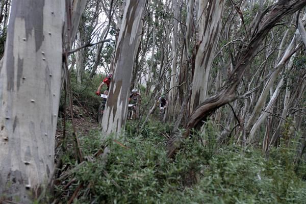 Elite men in the snow gums