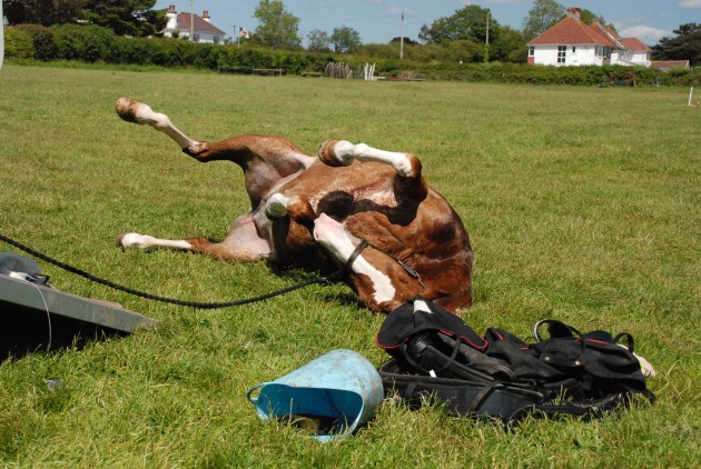 Alfie having a roll