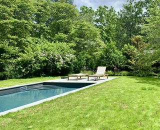 Backyard swimming pool with paving, grass and large trees surrounding it