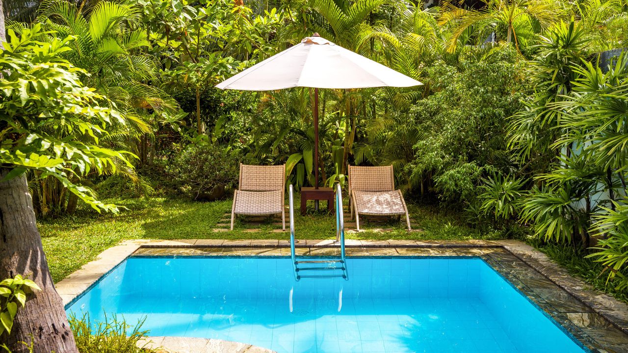 Pool with umbrella and beach beds in a tropical hotel