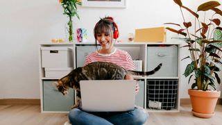 Cat walking on woman's laptop