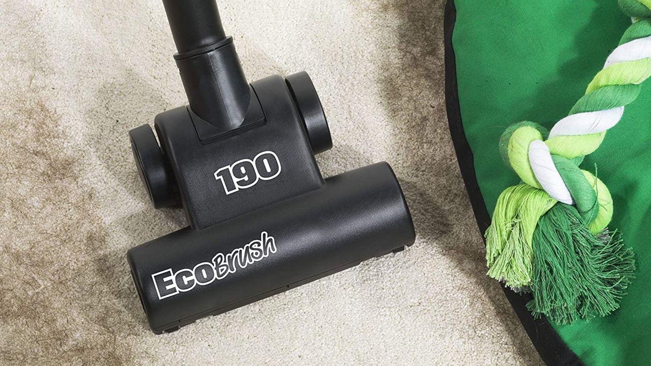 Henry Eco vacuum head on carpet cleaning with green rope dog toy in shot