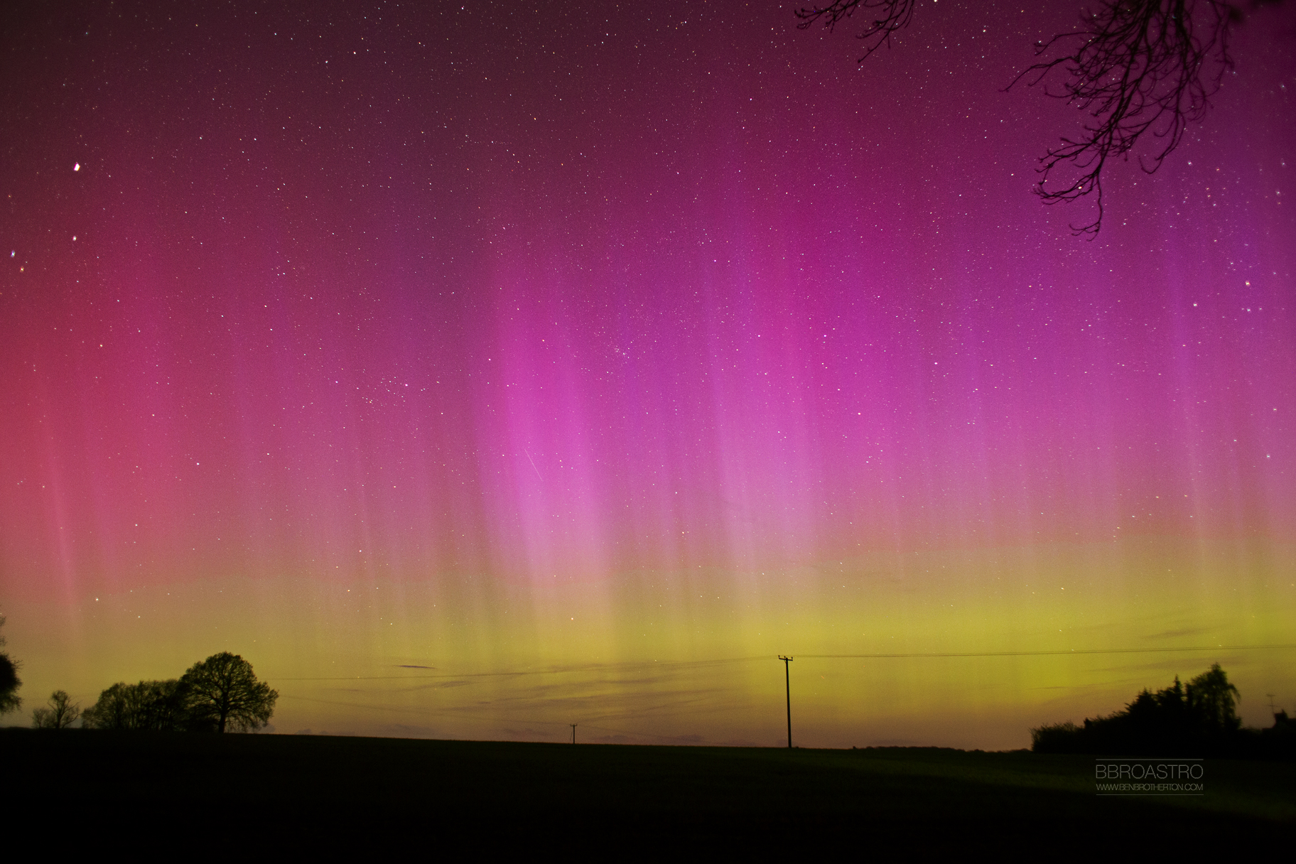 Aurora boreal aparece como faixas de luz rosa e amarelo/verde acima das árvores sombreadas.