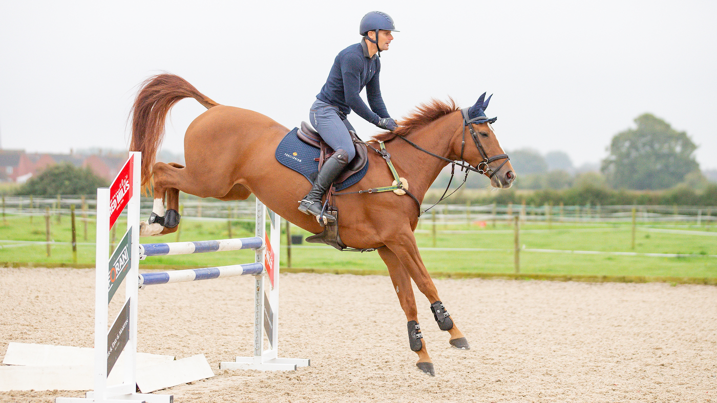 Chestnut horse landing over upright fence