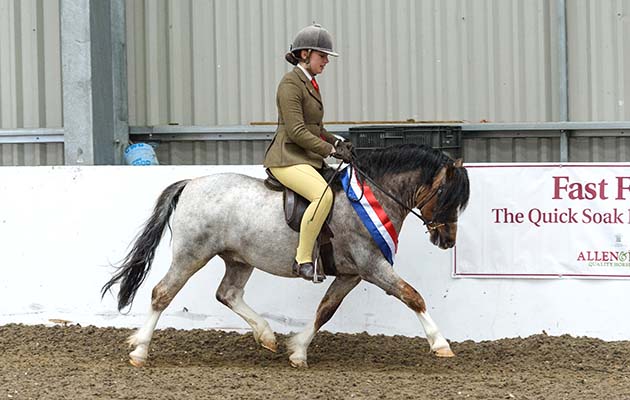 Lauren Brill and AMILAS CLICQUOT - Confined Novice Championship