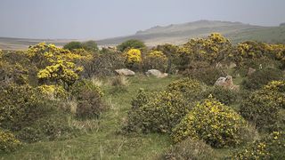 Preseli Hills in Pembrokeshire, Wales, where the bluestones at Stonehenge were sourced.
