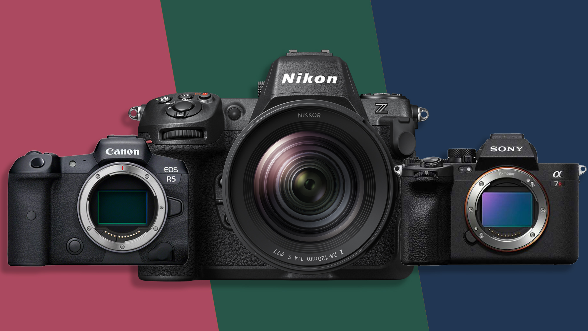Canon r5 vs nikon z9