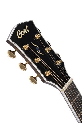 Cort Gold-OC8