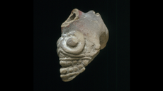 Clay pipe shaped like a skull against a black background