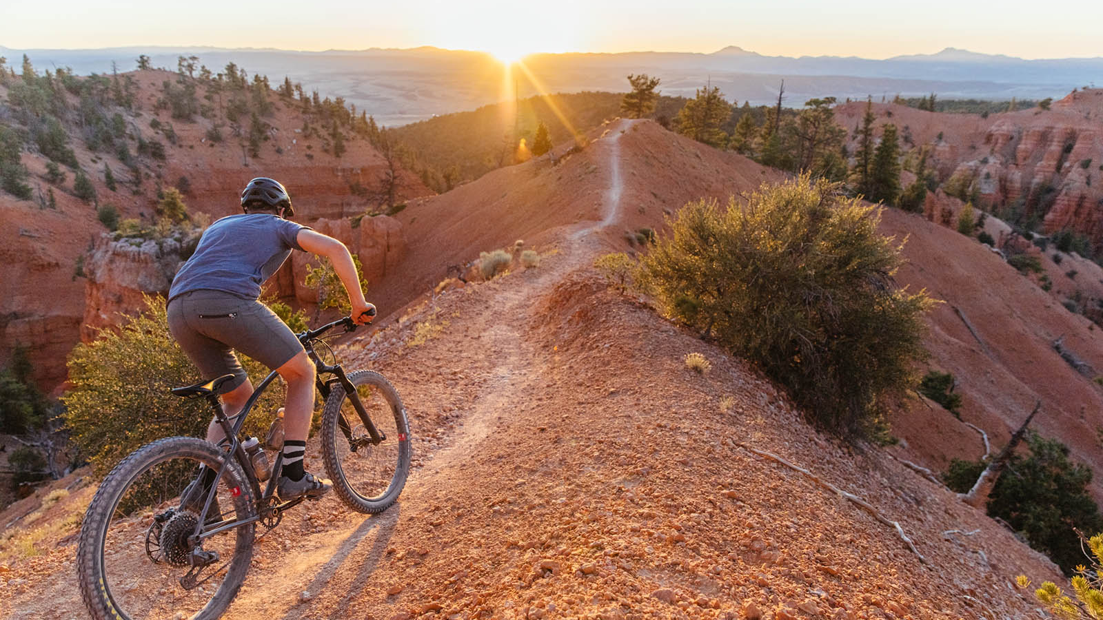 Single track shop bike