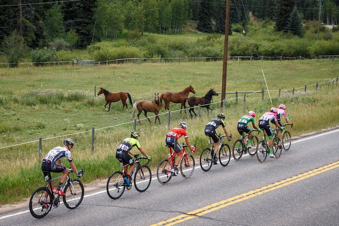 Horses watch as the break passes by on stage 3 of the 2018 Colorado Classic