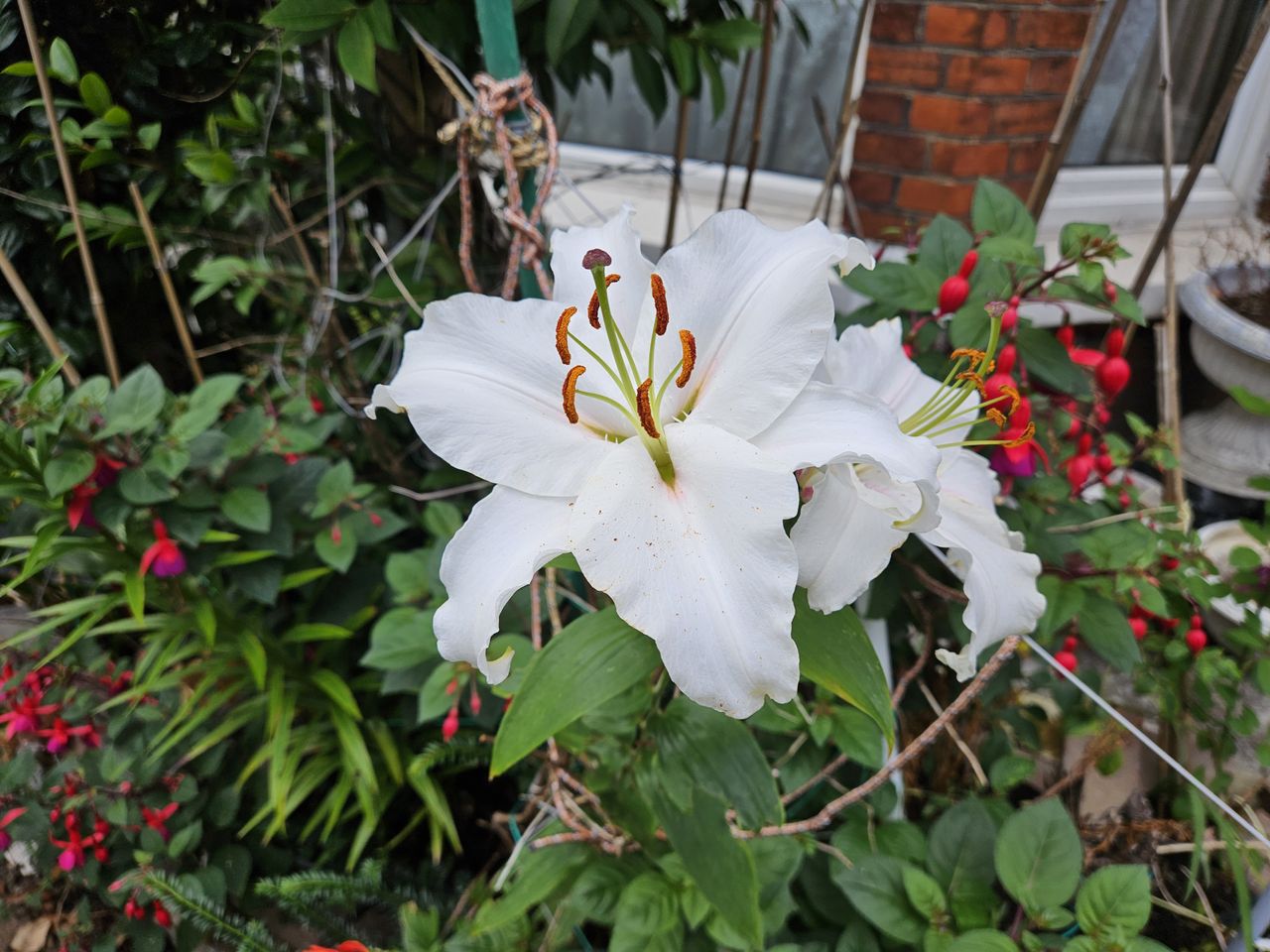 A photo taken on the Samsung Galaxy Z Fold 5