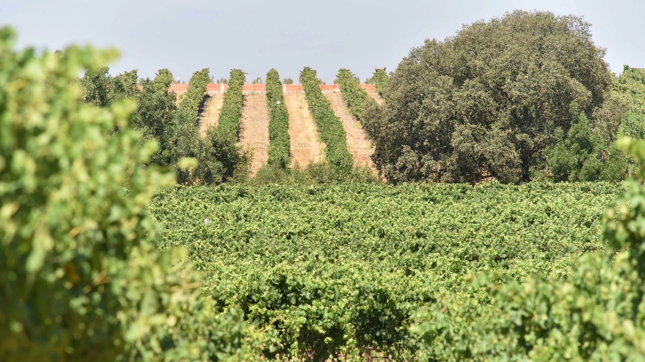Quinta do Paral