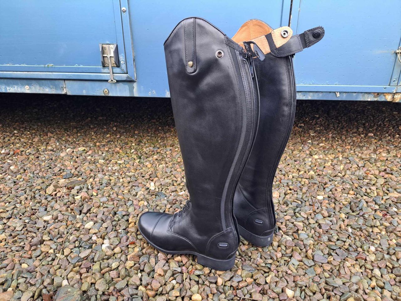 Ariat1