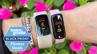 Black Friday Fitbit deal
