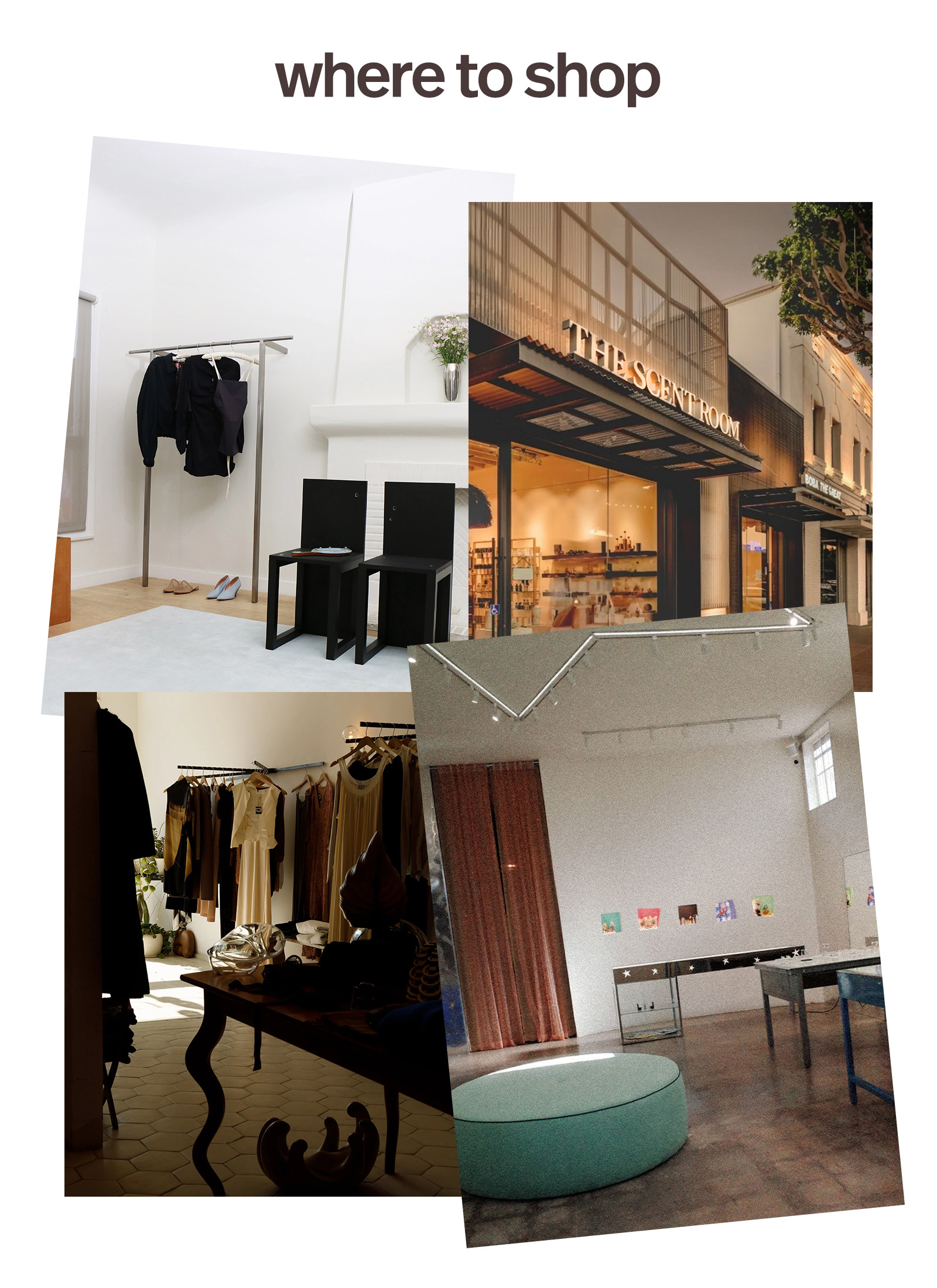 Maimoun; The Scent Room; Scout; Mondo Mondo.